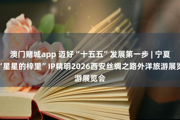 澳门赌城app 迈好“十五五”发展第一步 | 宁夏携“星星的梓里”IP精明2026西安丝绸之路外洋旅游展览会