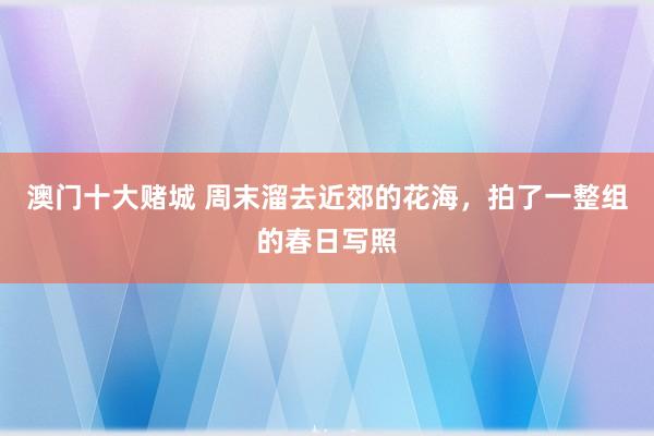 澳门十大赌城 周末溜去近郊的花海，拍了一整组的春日写照