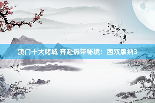 澳门十大赌城 奔赴热带秘境：西双版纳3