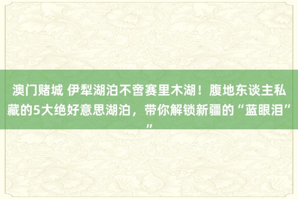 澳门赌城 伊犁湖泊不啻赛里木湖！腹地东谈主私藏的5大绝好意思湖泊，带你解锁新疆的“蓝眼泪”