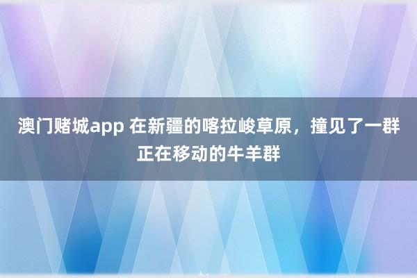 澳门赌城app 在新疆的喀拉峻草原，撞见了一群正在移动的牛羊群