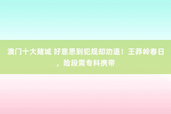 澳门十大赌城 好意思到犯规却劝退！王莽岭春日，险段需专科携带