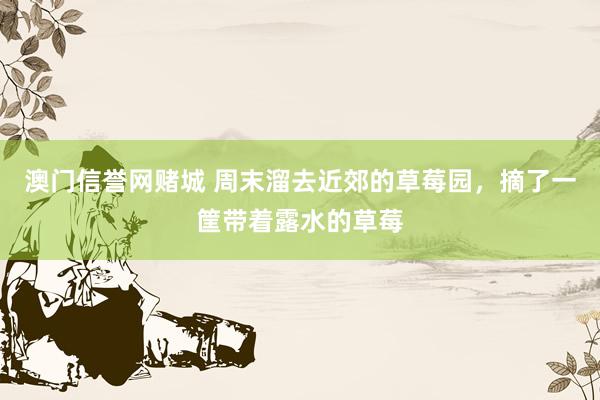 澳门信誉网赌城 周末溜去近郊的草莓园，摘了一筐带着露水的草莓