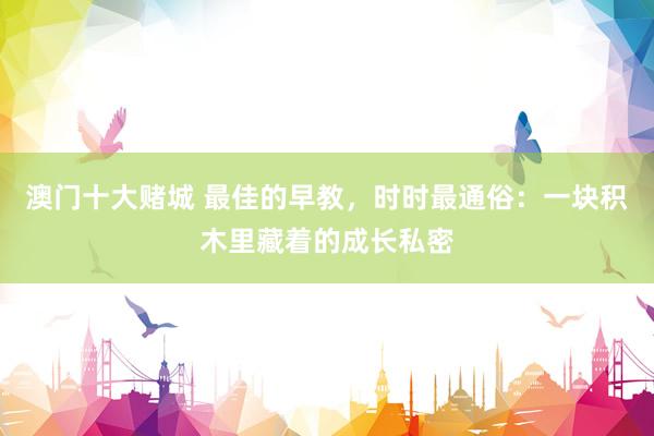 澳门十大赌城 最佳的早教，时时最通俗：一块积木里藏着的成长私密