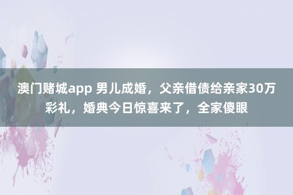 澳门赌城app 男儿成婚，父亲借债给亲家30万彩礼，婚典今日惊喜来了，全家傻眼