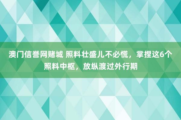 澳门信誉网赌城 照料壮盛儿不必慌，掌捏这6个照料中枢，放纵渡过外行期