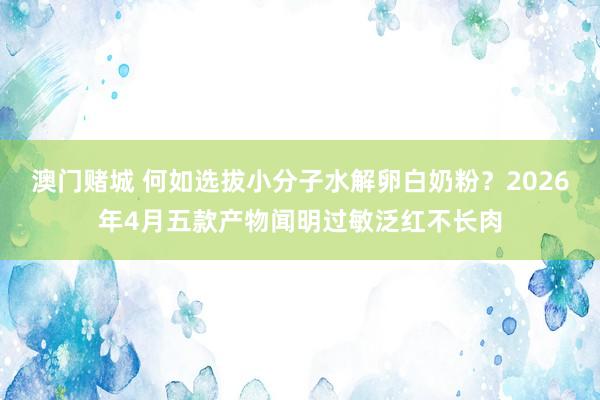 澳门赌城 何如选拔小分子水解卵白奶粉？2026年4月五款产物闻明过敏泛红不长肉